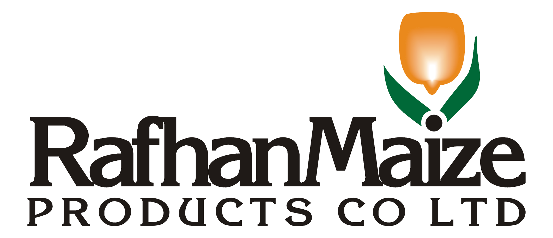 Client Partner 1